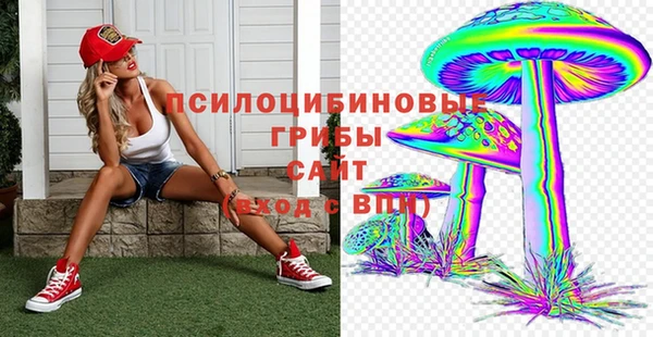 мдпв Бугульма