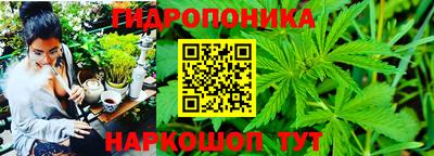 метамфетамин Заводоуковск
