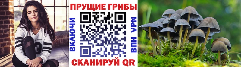 Галлюциногенные грибы Cubensis Балашов