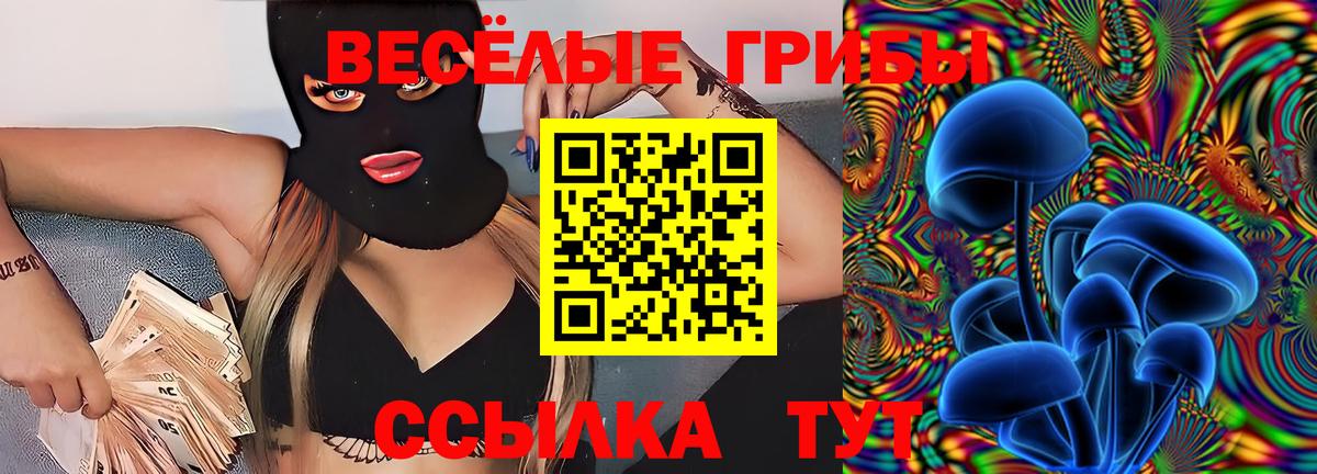 Галлюциногенные грибы мицелий  Псилоцибиновые грибы MAGIC MUSHROOMS  Вход с VPN  Балашов 
